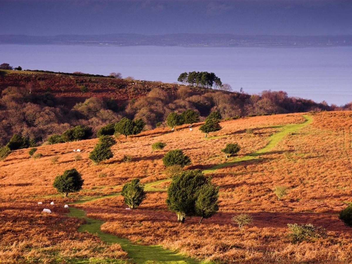 Отель The Hood Arms Kilve Экстерьер фото